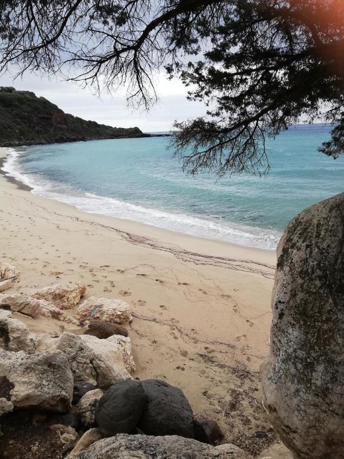 Appartamenti Le Conchiglie E Le Stelle Marine Cala Gonone Extérieur photo