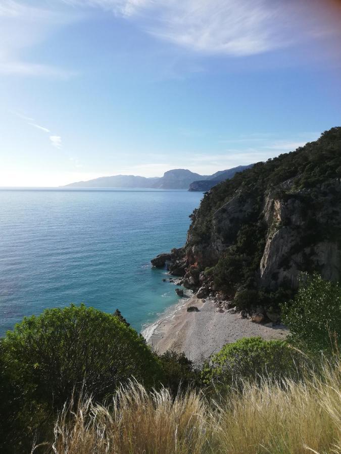 Appartamenti Le Conchiglie E Le Stelle Marine Cala Gonone Extérieur photo
