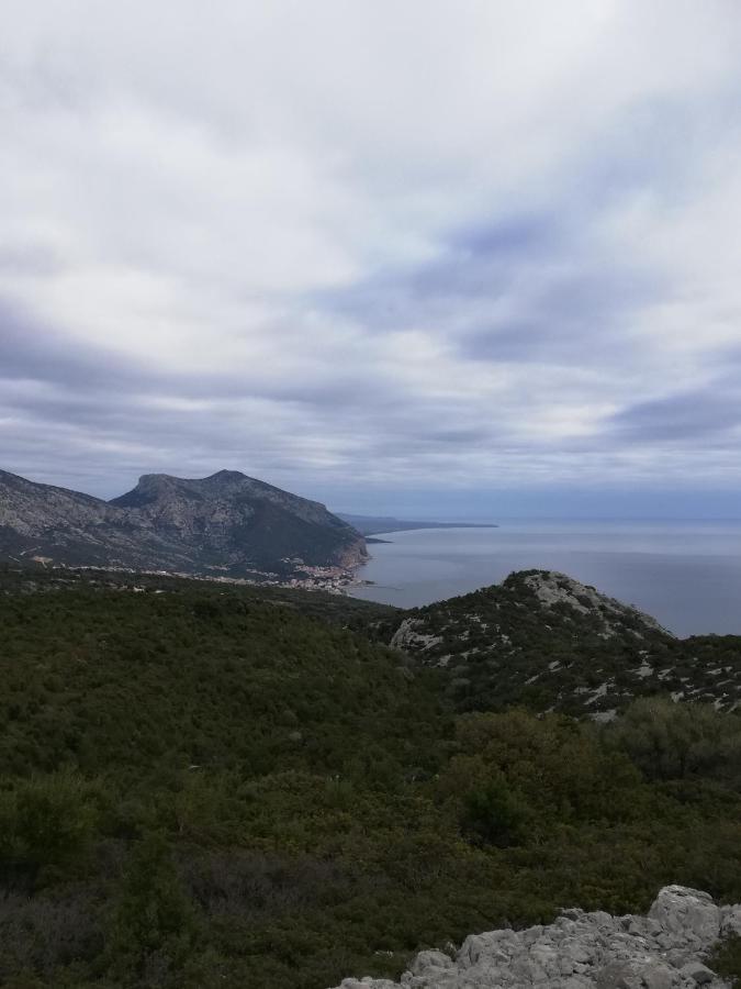 Appartamenti Le Conchiglie E Le Stelle Marine Cala Gonone Extérieur photo