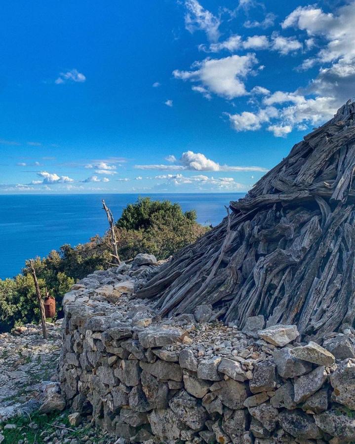 Appartamenti Le Conchiglie E Le Stelle Marine Cala Gonone Extérieur photo