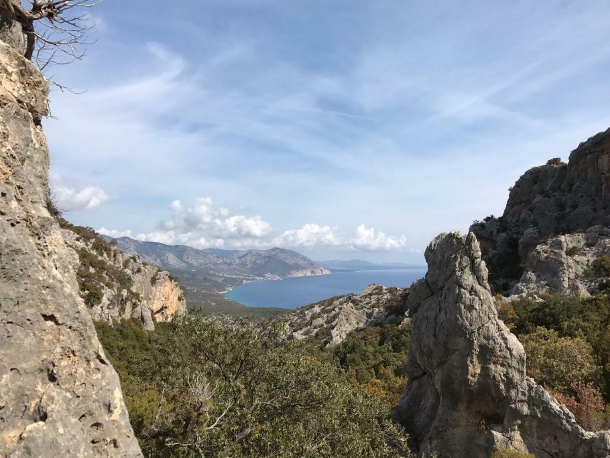 Appartamenti Le Conchiglie E Le Stelle Marine Cala Gonone Extérieur photo