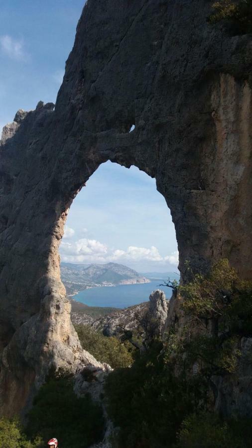 Appartamenti Le Conchiglie E Le Stelle Marine Cala Gonone Extérieur photo